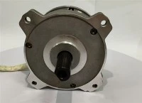 Động cơ DC không chổi than 36V